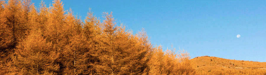 Wutaishan