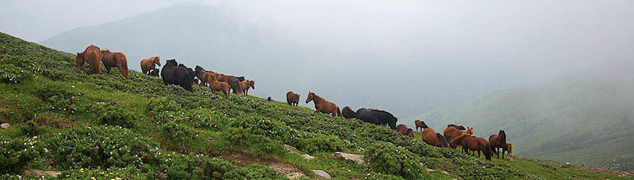 Wutaishan