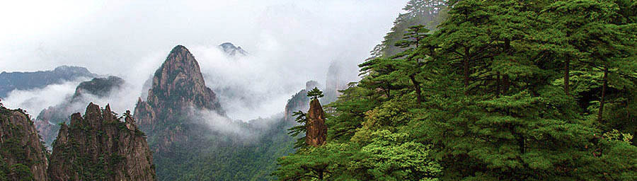Yading